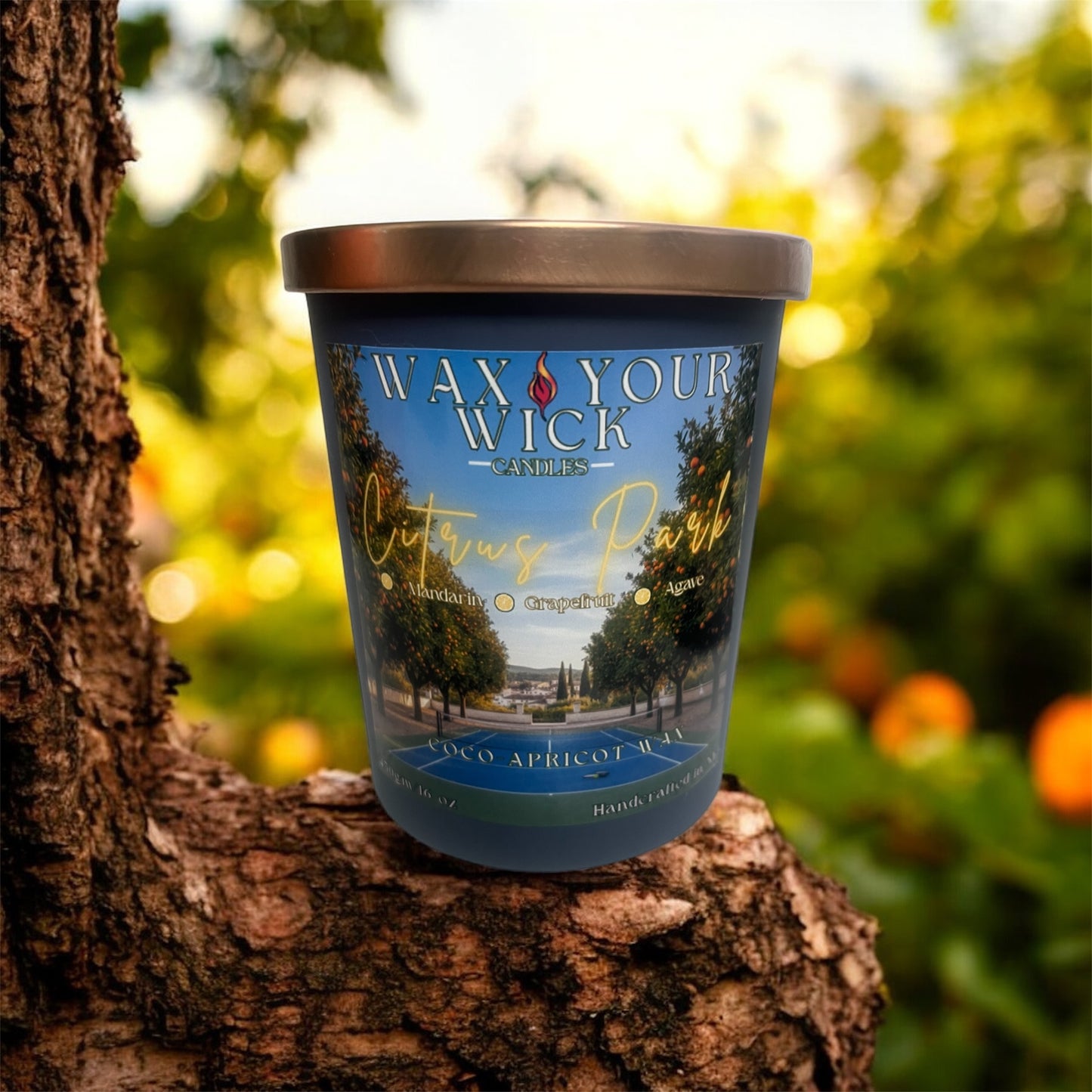 Citrus Park Candle – Mandarin, Grapefruit & Agave